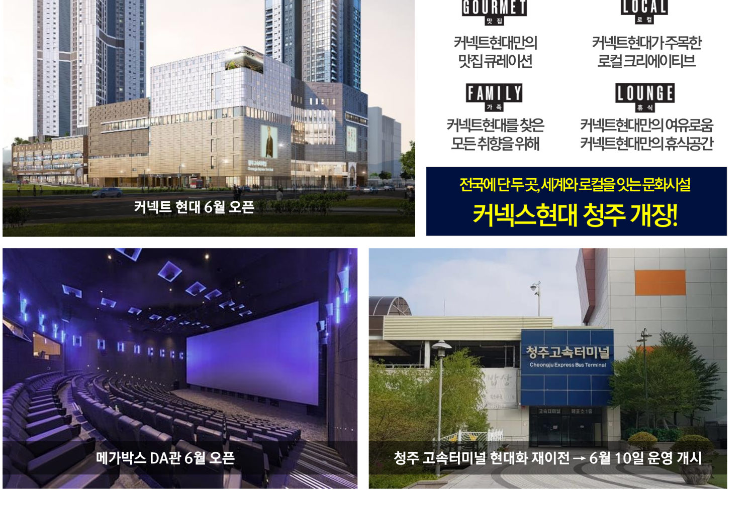 커뮤니티